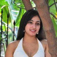 Haripriya New Photo Shoot - Pictures | Picture 115661